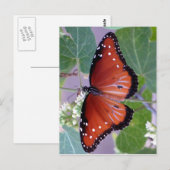 白黒および全体にわたって赤 ポストカード (正面/裏面)