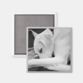 白黒かわいい犬のパパの写真 マグネット (正面/裏面)