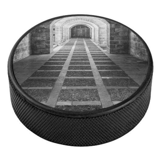 白黒での対称 アイスホッケーパック (3/4)