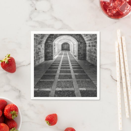 白黒での対称 スタンダードカクテルナプキン (インサイチュ)