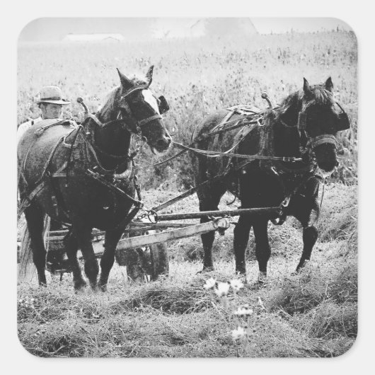 白黒での時間の入力 スクエアシール (正面)