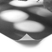 白黒でポーズをとる蝶自然 ポスター (角)