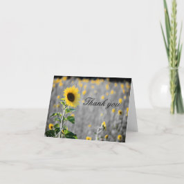 白黒のひまわり畑 サンキューカード