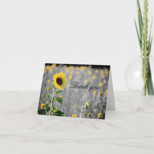 白黒のひまわり畑 サンキューカード (正面)