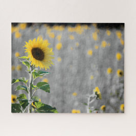 白黒のひまわり畑 ジグソーパズル