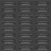 白黒のアエレガントフォーマル結婚ドレス シール (正面)