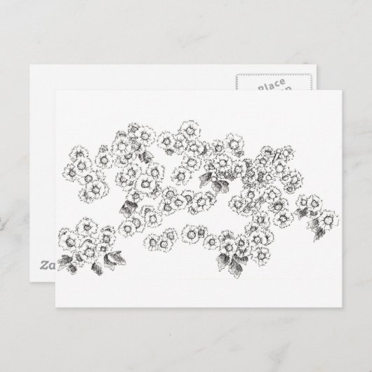 白黒のアスターペンとインクフラワー ポストカード (正面/裏面)