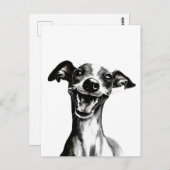 白黒のイギー |かわいいイタリアングレイハウンド ポストカード (正面/裏面)