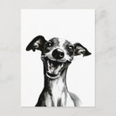 白黒のイギー |かわいいイタリアングレイハウンド ポストカード (正面)
