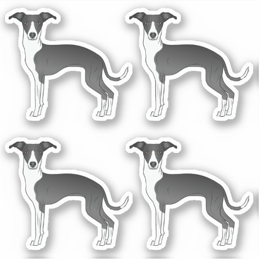 白黒のグレイハウンドイタリアンマンガ犬 シール (正面)
