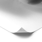 白黒のゲラニウム ポスター (角)