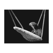 白黒のスイングに耐える