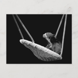 白黒のスイングに耐える ポストカード