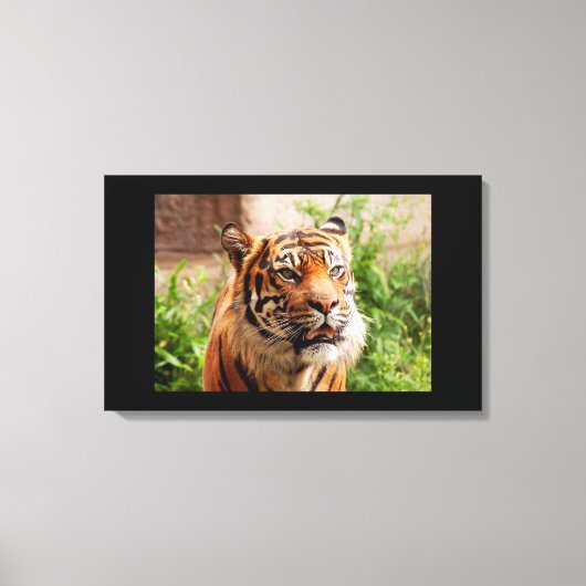 白黒のタイガーキャンバスの印刷 キャンバスプリント (正面)