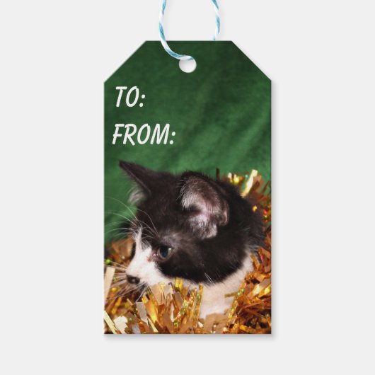 白黒のタキシード子猫クリスマス ギフトタグ (正面)