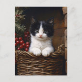 白黒のタキシード猫の冬のシ絵を描ーン ポストカード (正面)