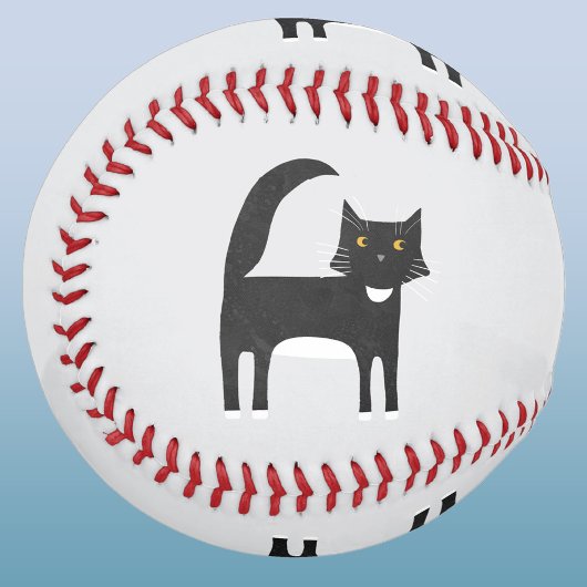 白黒のタキシード猫 野球ボール