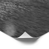 白黒のタップ ポスター (コーナー)