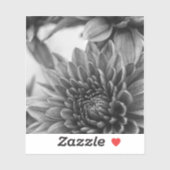 白黒のタム シール (シート)