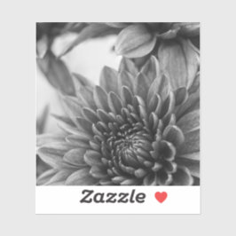 白黒のタム シール