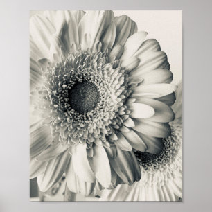 白黒のダリアの花の写真 ポスター