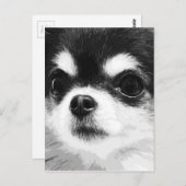 白黒のチワワ ポストカード (正面/裏面)