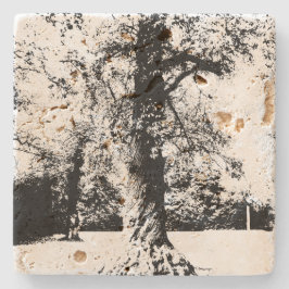白黒のツリーの風景 ストーンコースター