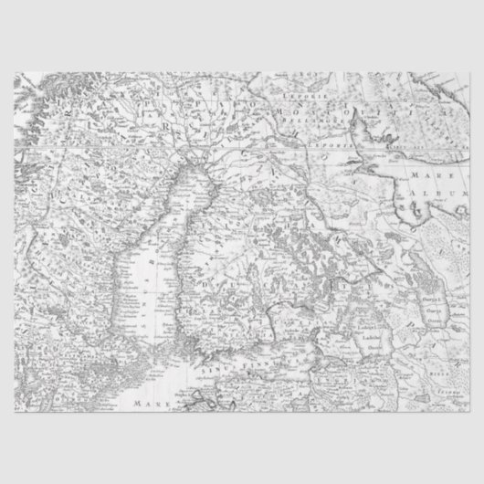 白黒のデジタル地図シリーズのデザイン12 薄葉紙 (正面)