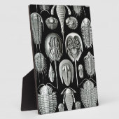 白黒のトリロバイトと化石 フォトプラーク (側面)