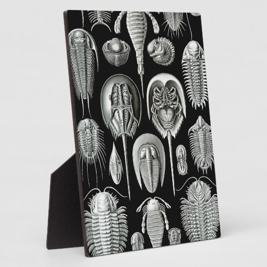 白黒のトリロバイトと化石 フォトプラーク (側面)