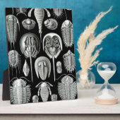 白黒のトリロバイトと化石 フォトプラーク (側面)