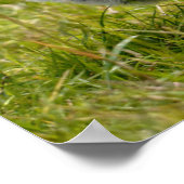 白黒のハガキ ポスター (角)