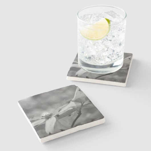 白黒のハナミズキの花 ストーンコースター (横)