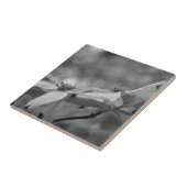 白黒のハナミズキの花 タイル (側面)