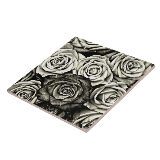 白黒のバラ タイル (側面)