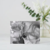 白黒のバラ ポストカード (スタンド正面)