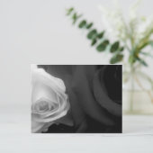 白黒のバラ ポストカード (スタンド正面)