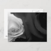 白黒のバラ ポストカード (正面/裏面)