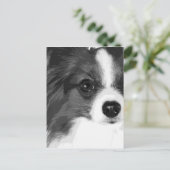 白黒のパピロン ポストカード (スタンド正面)