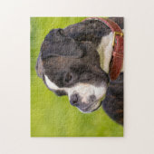 白黒のボクサー犬 ジグソーパズル (縦)