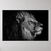 白黒のライオン ポスター (正面)