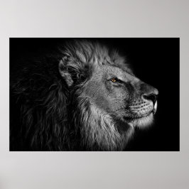 白黒のライオン ポスター