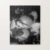 白黒のリンゴ自然 ジグソーパズル (縦)