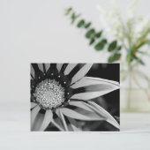 白黒のワイルドフラワーポストカード ポストカード (スタンド正面)