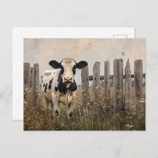 白黒の乳牛ヴィンテージスタイル ポストカード (正面/裏面)