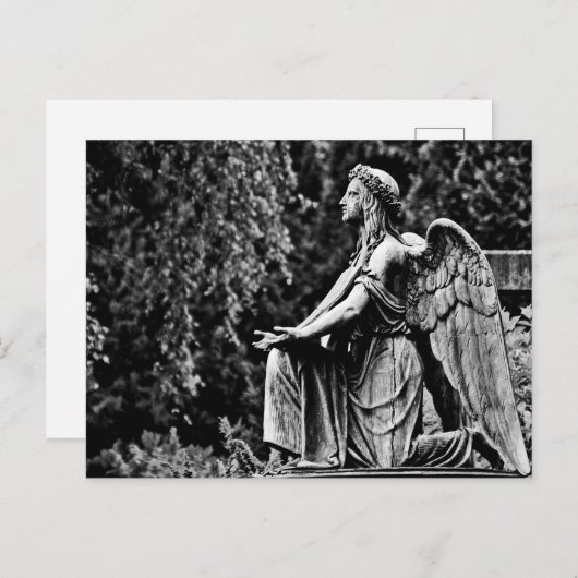 白黒の写真ひざまずき天使 ポストカード (正面/裏面)