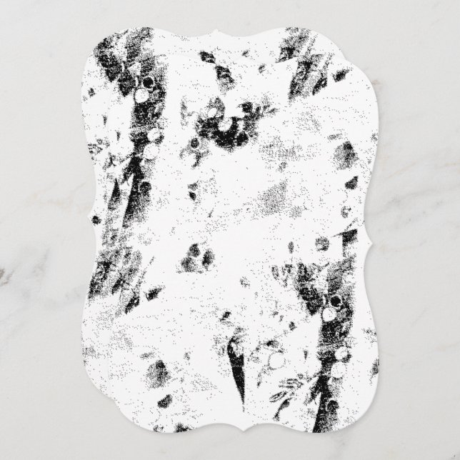 白黒の写真 (正面/裏面)