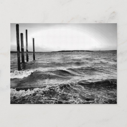 白黒の写真 ポストカード (正面)