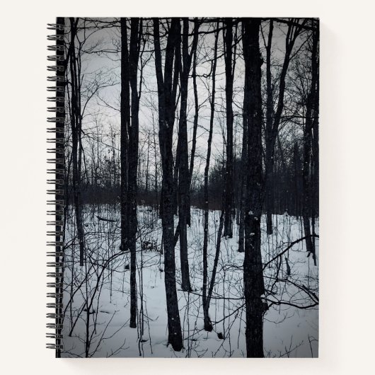 白黒の劇的なランドスケープのノートブック ノートブック (正面)