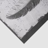 白黒の勉強のゴシック風の羽毛 薄葉紙 (詳細)